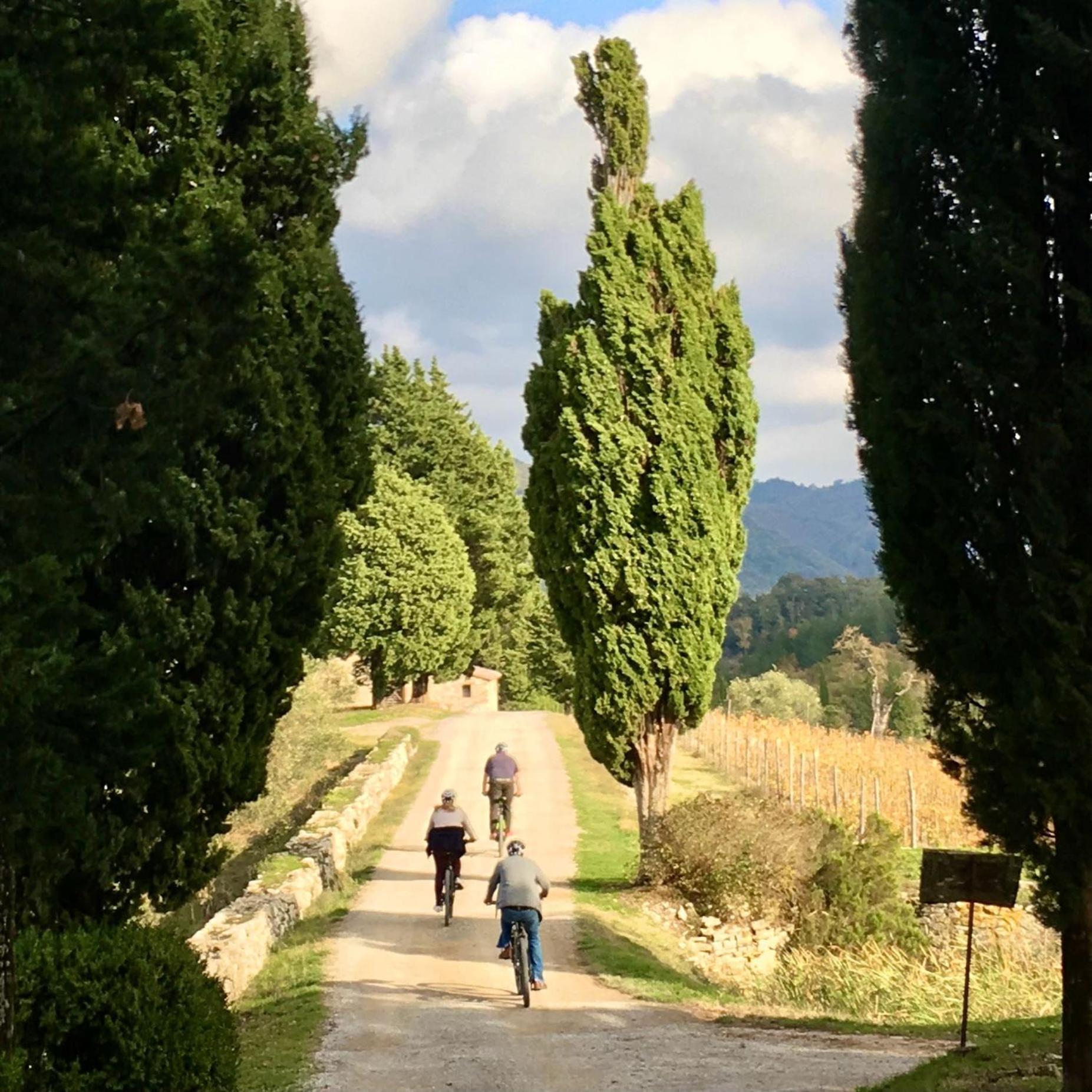 Capannelle Wine Resort Gaiole in Chianti Kültér fotó