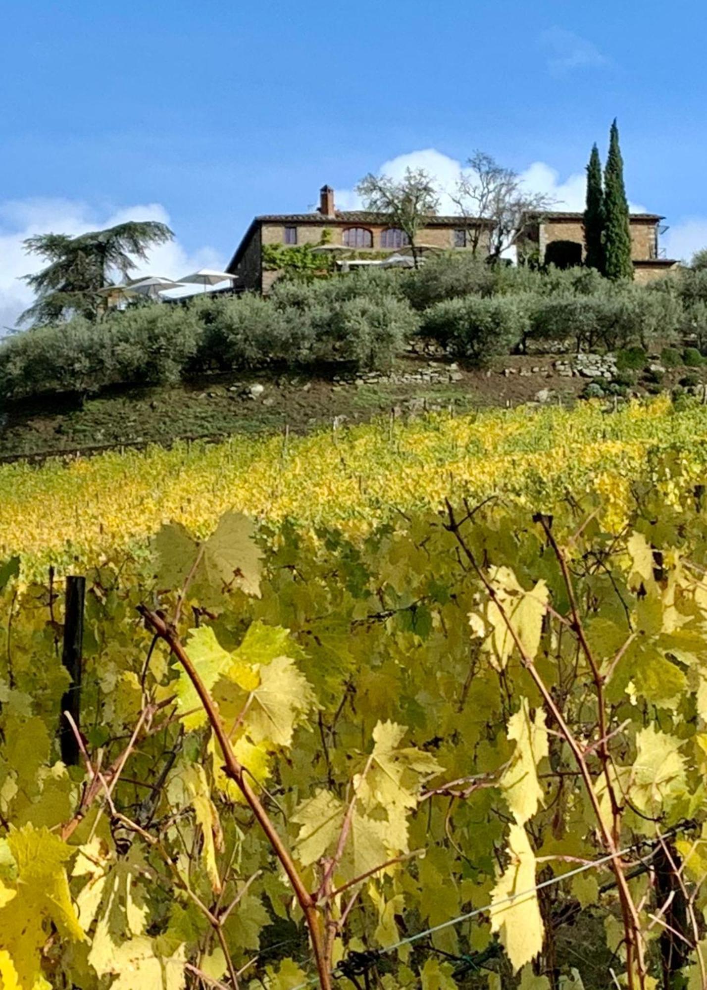 Capannelle Wine Resort Gaiole in Chianti Kültér fotó