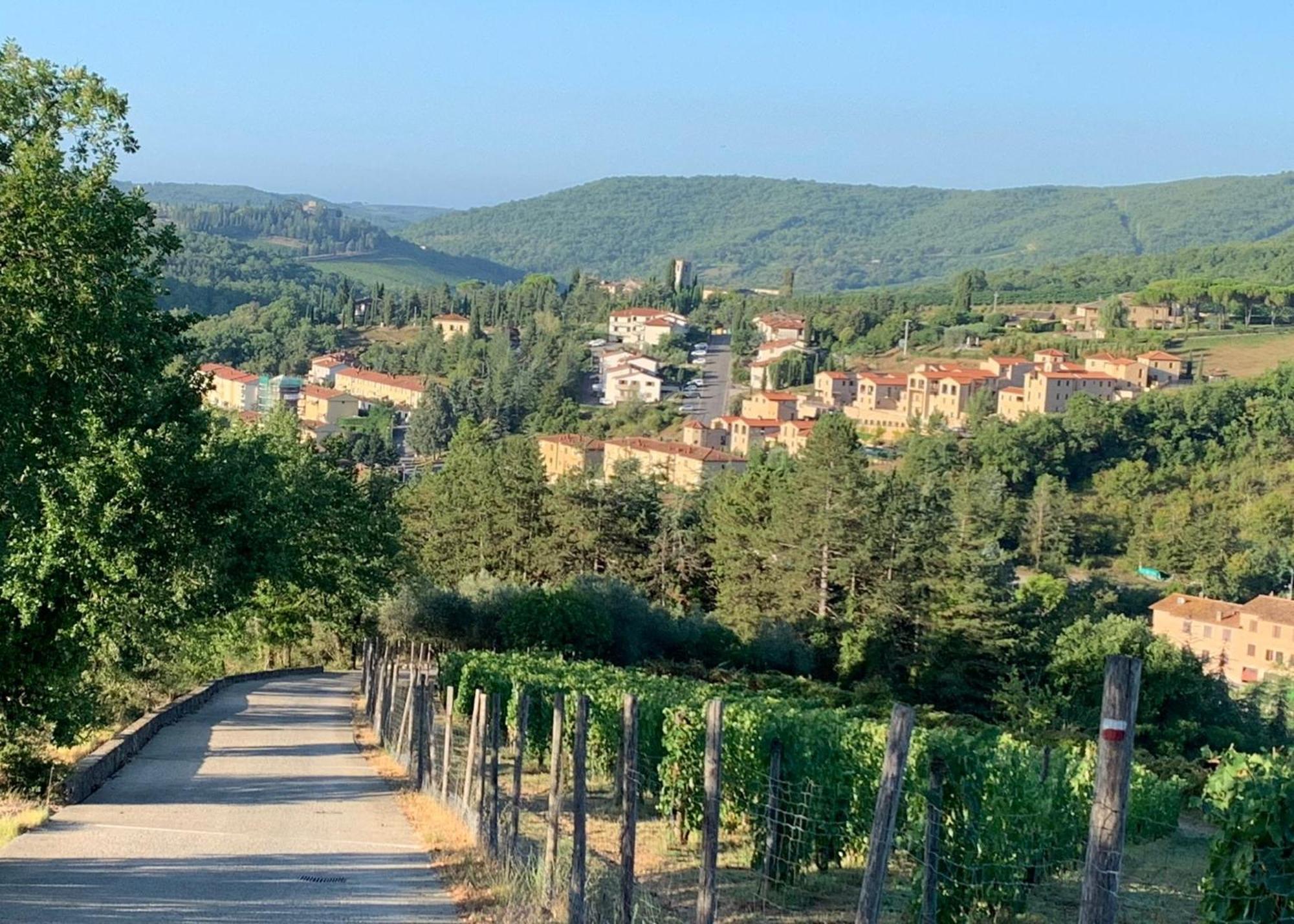 Capannelle Wine Resort Gaiole in Chianti Kültér fotó