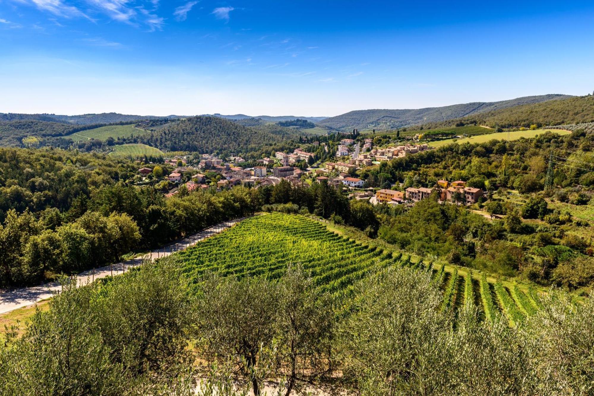 Capannelle Wine Resort Gaiole in Chianti Kültér fotó