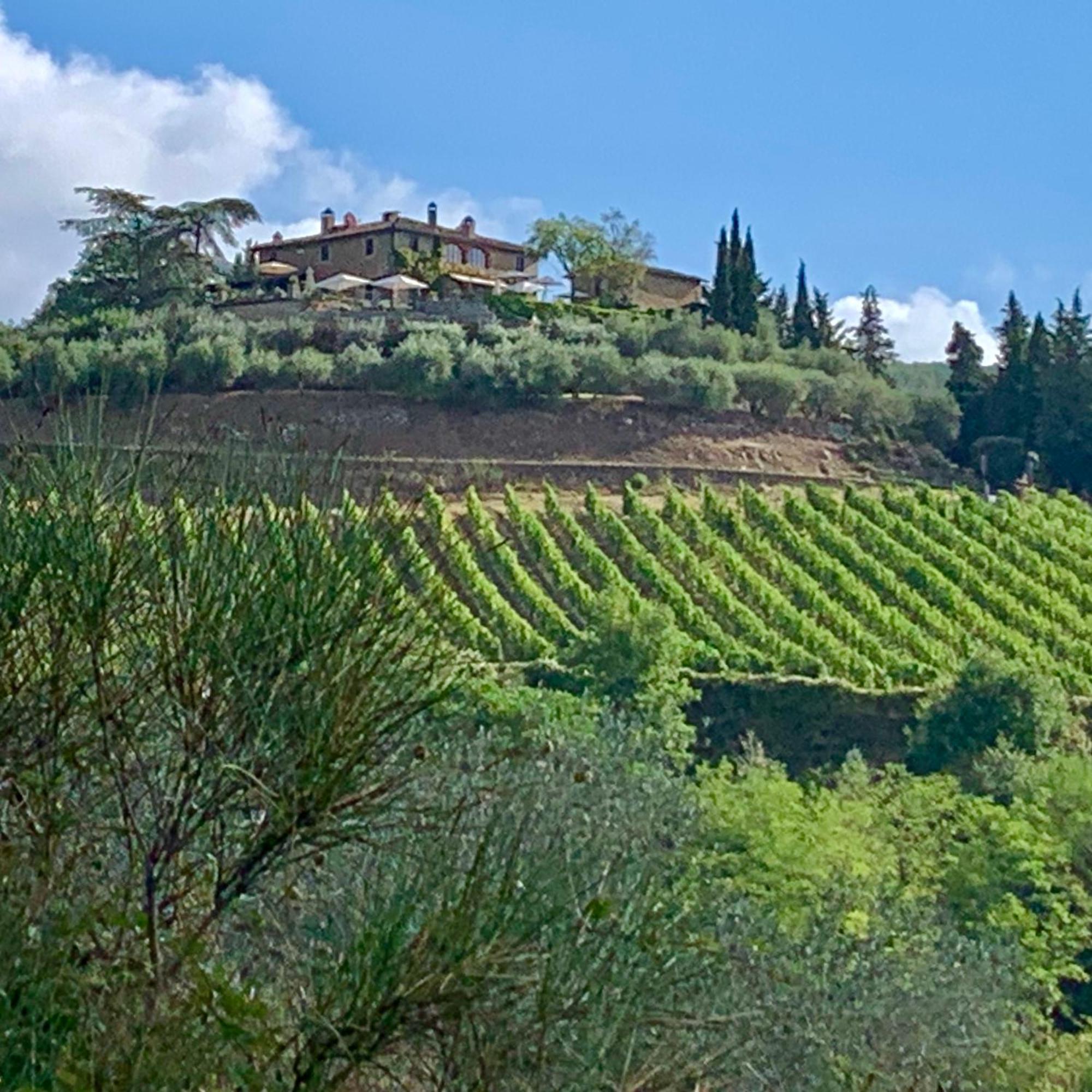 Capannelle Wine Resort Gaiole in Chianti Kültér fotó