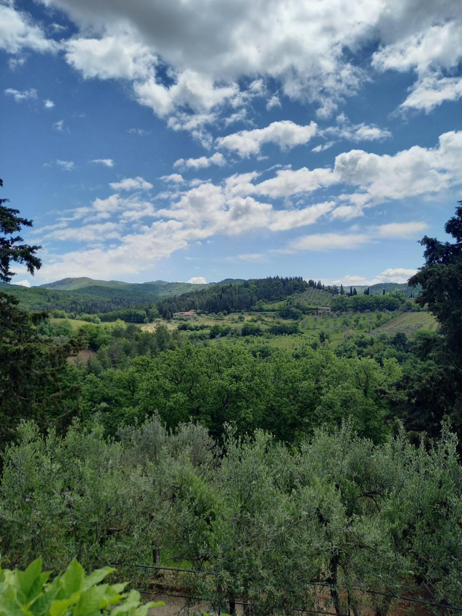Capannelle Wine Resort Gaiole in Chianti Kültér fotó